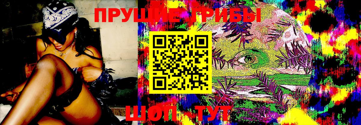 Галлюциногенные грибы GOLDEN TEACHER  купить наркотики сайты  Валуйки  Галлюциногенные грибы MAGIC MUSHROOMS  Вход с VPN 