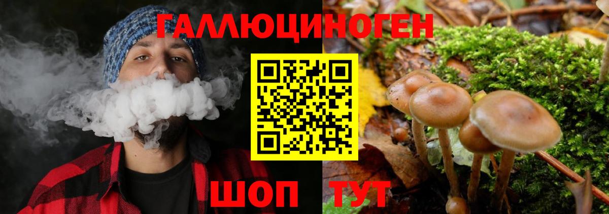Галлюциногенные грибы Magic Shrooms Валуйки